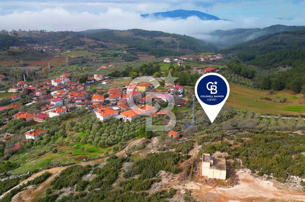 YATAĞAN ELMACIK'TA YATIRIMLIK 2,5 DÖNÜM KÖY İÇİ ZEYTİNLİK