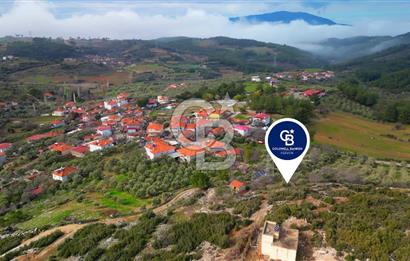 YATAĞAN ELMACIK'TA YATIRIMLIK 2,5 DÖNÜM KÖY İÇİ ZEYTİNLİK