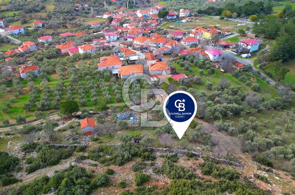 YATAĞAN ELMACIK'TA YATIRIMLIK 2,5 DÖNÜM KÖY İÇİ ZEYTİNLİK