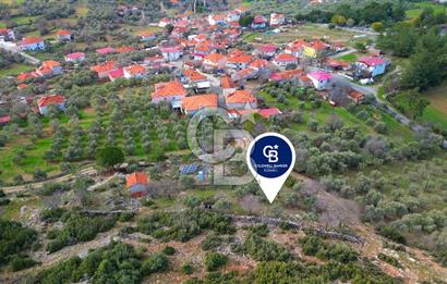 YATAĞAN ELMACIK'TA YATIRIMLIK 2,5 DÖNÜM KÖY İÇİ ZEYTİNLİK