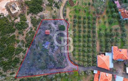 YATAĞAN ELMACIK'TA YATIRIMLIK 2,5 DÖNÜM KÖY İÇİ ZEYTİNLİK