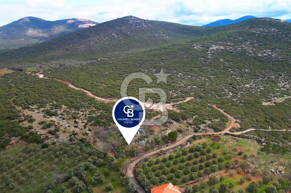 YATAĞAN ELMACIK'TA YATIRIMLIK 2,5 DÖNÜM KÖY İÇİ ZEYTİNLİK