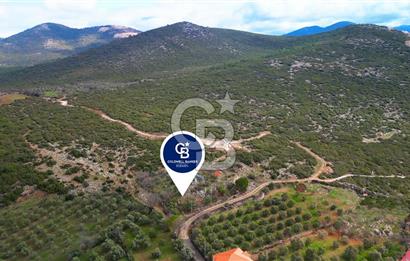 YATAĞAN ELMACIK'TA YATIRIMLIK 2,5 DÖNÜM KÖY İÇİ ZEYTİNLİK