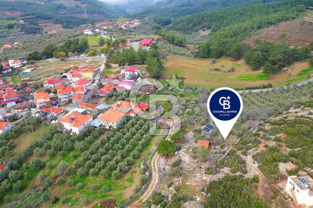 YATAĞAN ELMACIK'TA YATIRIMLIK 2,5 DÖNÜM KÖY İÇİ ZEYTİNLİK