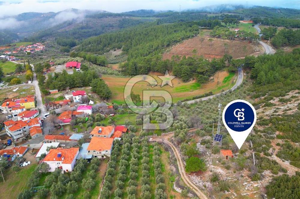 YATAĞAN ELMACIK'TA YATIRIMLIK 2,5 DÖNÜM KÖY İÇİ ZEYTİNLİK