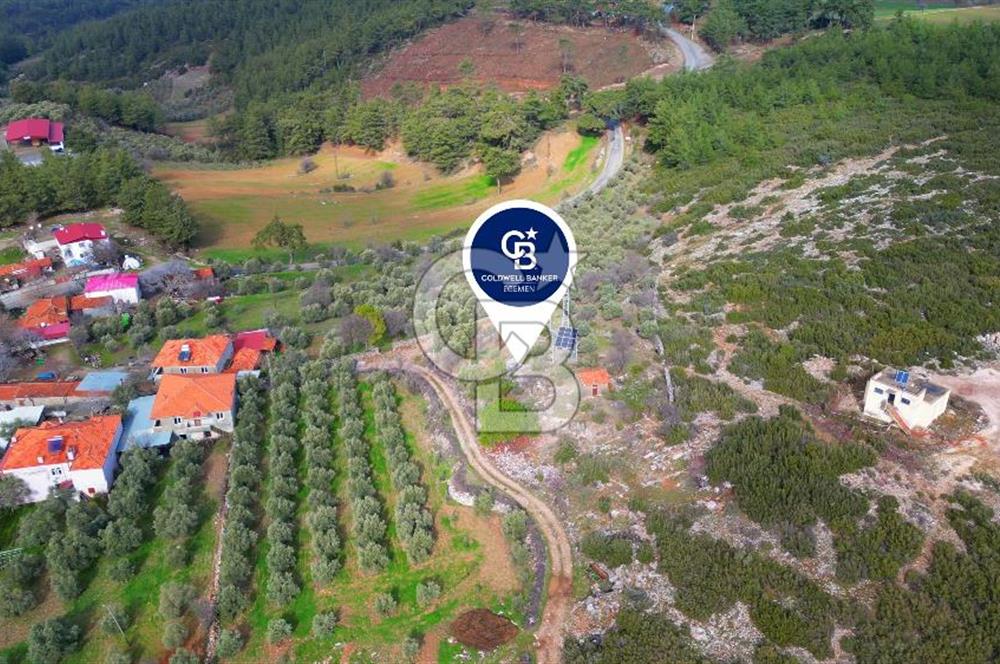 YATAĞAN ELMACIK'TA YATIRIMLIK 2,5 DÖNÜM KÖY İÇİ ZEYTİNLİK