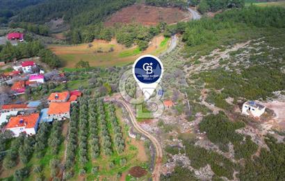 YATAĞAN ELMACIK'TA YATIRIMLIK 2,5 DÖNÜM KÖY İÇİ ZEYTİNLİK