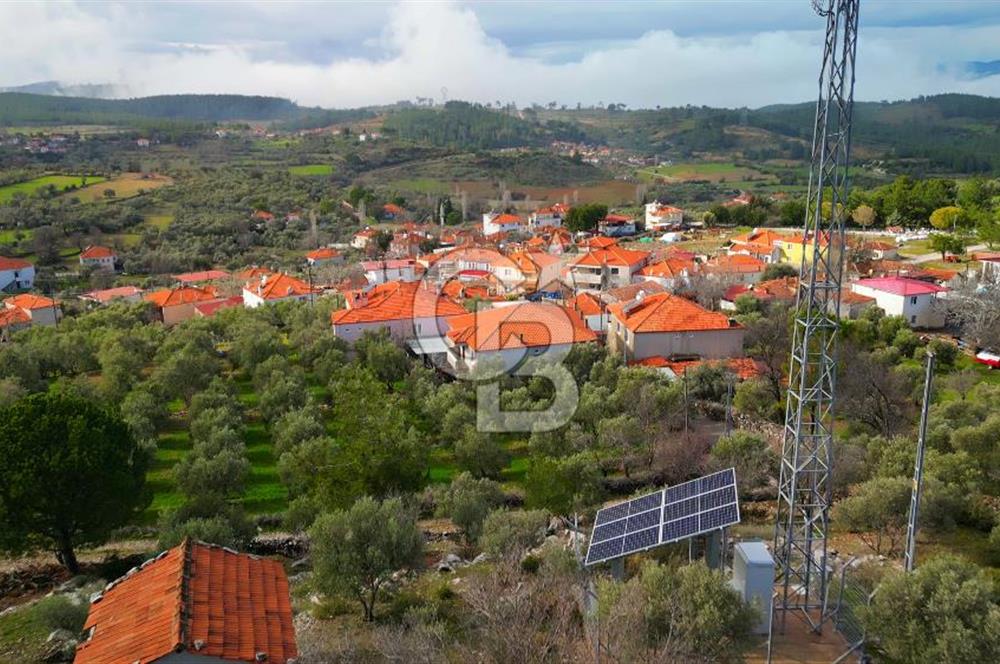 YATAĞAN ELMACIK'TA YATIRIMLIK 2,5 DÖNÜM KÖY İÇİ ZEYTİNLİK