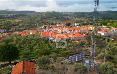 YATAĞAN ELMACIK'TA YATIRIMLIK 2,5 DÖNÜM KÖY İÇİ ZEYTİNLİK