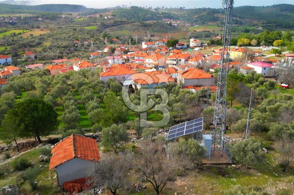 YATAĞAN ELMACIK'TA YATIRIMLIK 2,5 DÖNÜM KÖY İÇİ ZEYTİNLİK