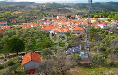 YATAĞAN ELMACIK'TA YATIRIMLIK 2,5 DÖNÜM KÖY İÇİ ZEYTİNLİK