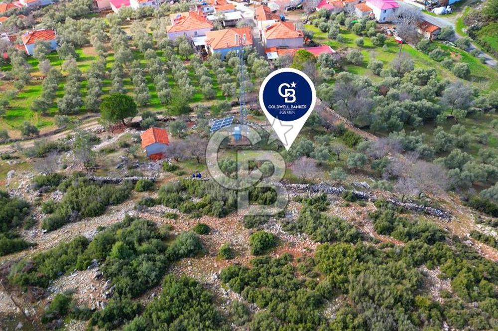 YATAĞAN ELMACIK'TA YATIRIMLIK 2,5 DÖNÜM KÖY İÇİ ZEYTİNLİK