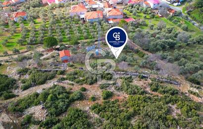 YATAĞAN ELMACIK'TA YATIRIMLIK 2,5 DÖNÜM KÖY İÇİ ZEYTİNLİK