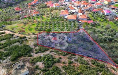 YATAĞAN ELMACIK'TA YATIRIMLIK 2,5 DÖNÜM KÖY İÇİ ZEYTİNLİK