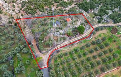 YATAĞAN ELMACIK'TA YATIRIMLIK 2,5 DÖNÜM KÖY İÇİ ZEYTİNLİK