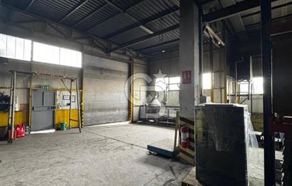 Dilovası OSB Polisan Boya karşısı 3055 m² Alanlı Satılık Fabrika