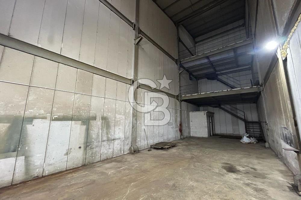 Yalova Altınova Tersane Böl. 180m² Yüksek Tavanlı Kiralık Dükkan