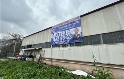 Dilovası OSB Polisan Boya karşısı 3055 m² Alanlı Satılık Fabrika