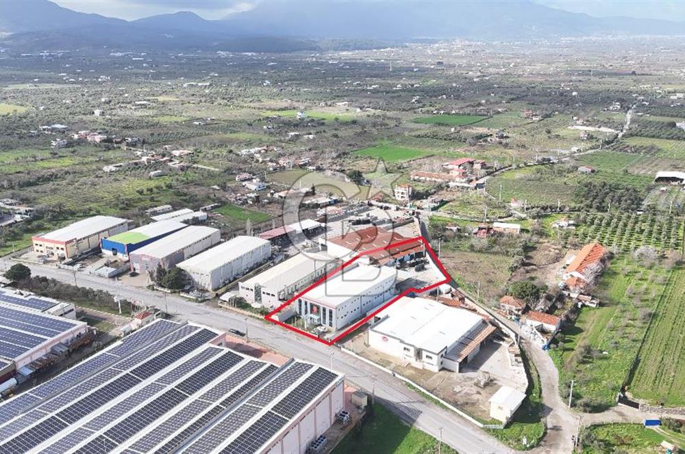 Kemalpaşa Armutlu da Satılık Gıda Üretimine Uygun Kapalı Alan