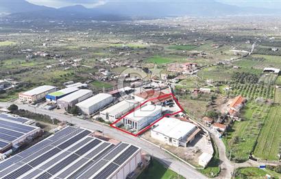 Kemalpaşa Armutlu da Satılık Gıda Üretimine Uygun Kapalı Alan