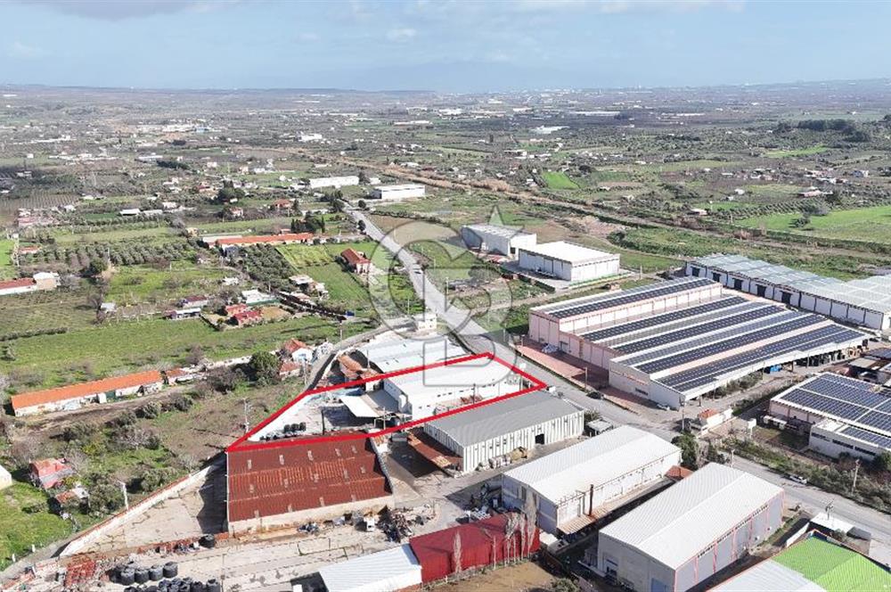 Kemalpaşa Armutlu da Satılık Gıda Üretimine Uygun Kapalı Alan