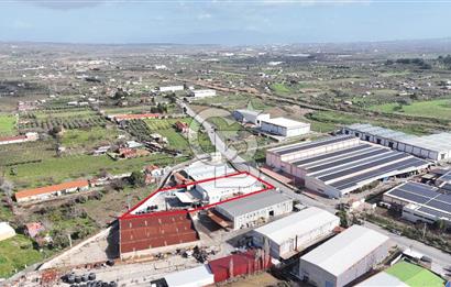 Kemalpaşa Armutlu da Satılık Gıda Üretimine Uygun Kapalı Alan