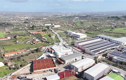 Kemalpaşa Armutlu da Satılık Gıda Üretimine Uygun Kapalı Alan