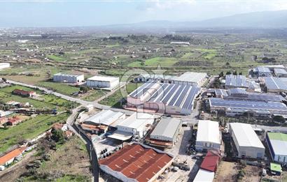 Kemalpaşa Armutlu da Satılık Gıda Üretimine Uygun Kapalı Alan