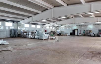 Kemalpaşa Armutlu da Satılık Gıda Üretimine Uygun Kapalı Alan