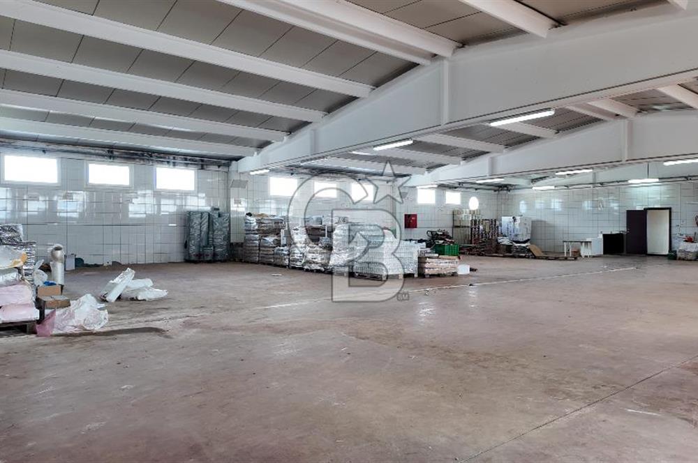 Kemalpaşa Armutlu da Satılık Gıda Üretimine Uygun Kapalı Alan