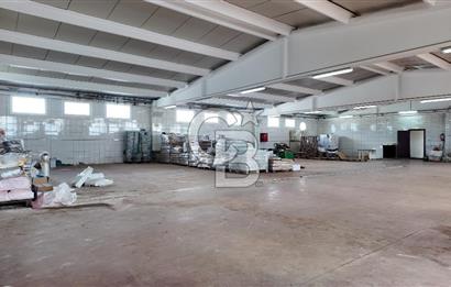 Kemalpaşa Armutlu da Satılık Gıda Üretimine Uygun Kapalı Alan