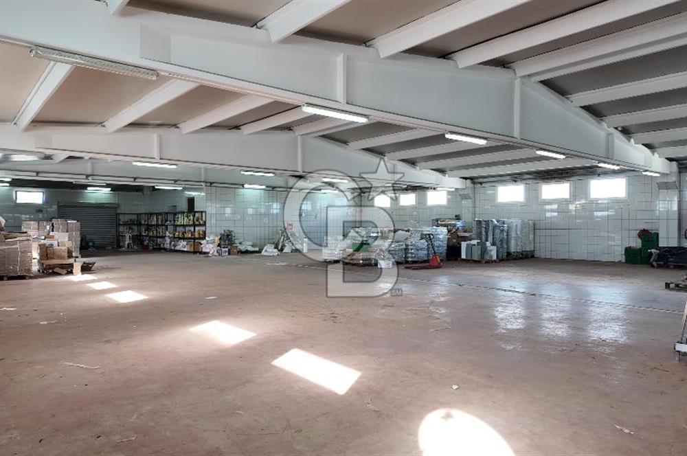 Kemalpaşa Armutlu da Satılık Gıda Üretimine Uygun Kapalı Alan