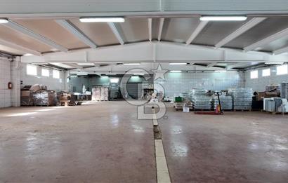 Kemalpaşa Armutlu da Satılık Gıda Üretimine Uygun Kapalı Alan