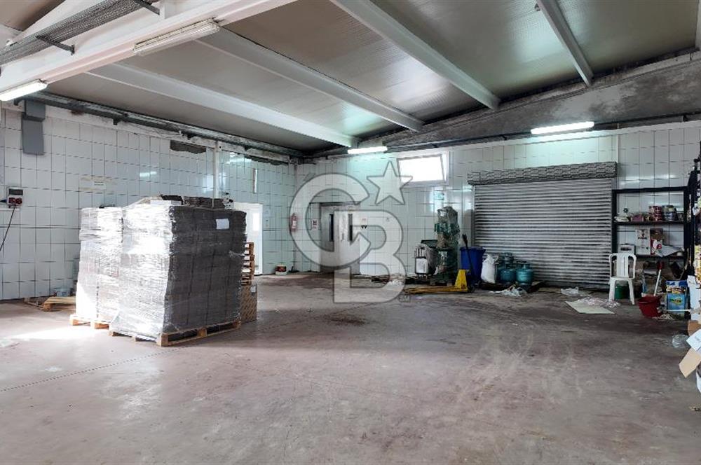 Kemalpaşa Armutlu da Satılık Gıda Üretimine Uygun Kapalı Alan