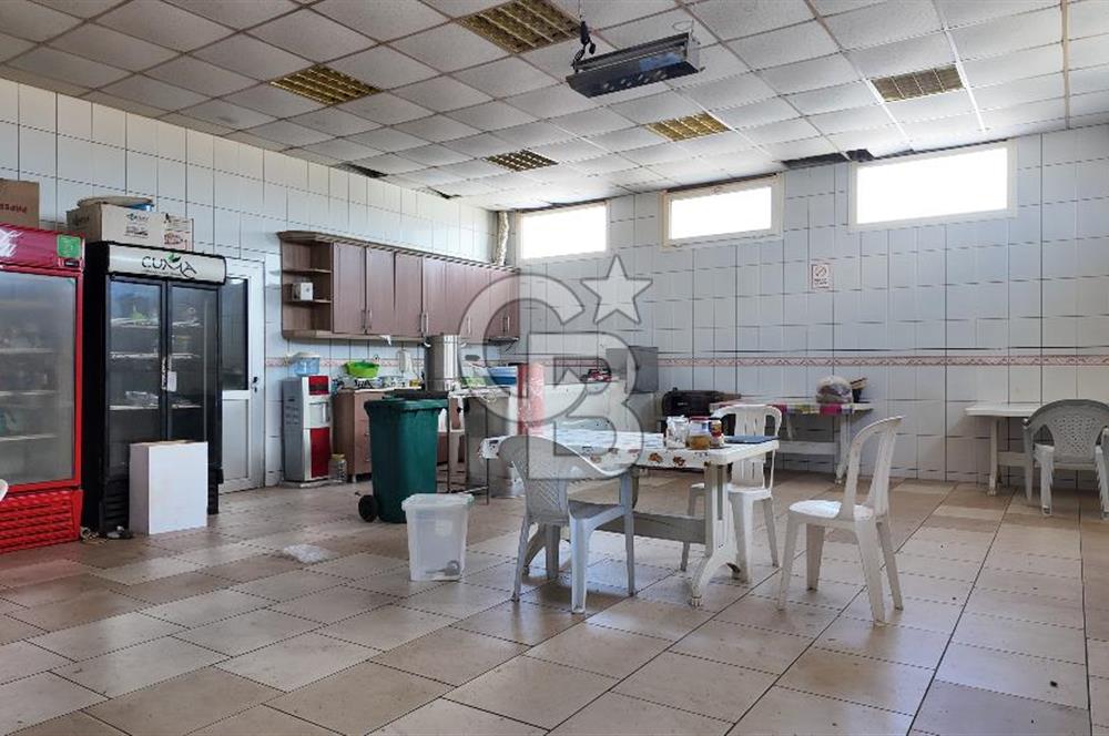 Kemalpaşa Armutlu da Satılık Gıda Üretimine Uygun Kapalı Alan