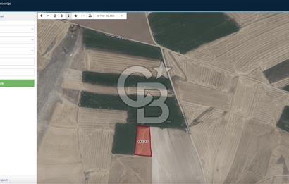 Sincan Temelli'de Satılık 7.318 m² Tarla