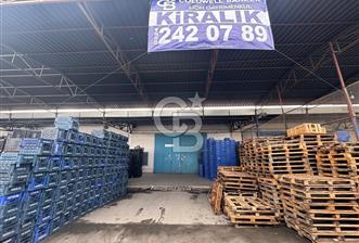 MERSİN TOROSLAR YENİ HAL KOMPLEKSİ’NDE SEVKİYAT BÖLÜMÜ TİCARİ DÜKKAN - 5 - 333965