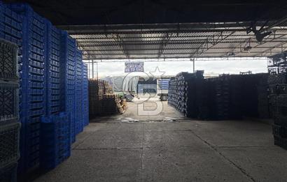 MERSİN TOROSLAR YENİ HAL KOMPLEKSİ’NDE SEVKİYAT BÖLÜMÜ TİCARİ DÜKKAN