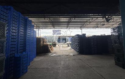 MERSİN TOROSLAR YENİ HAL KOMPLEKSİ’NDE SEVKİYAT BÖLÜMÜ TİCARİ DÜKKAN