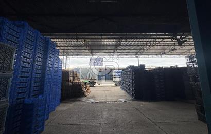 MERSİN TOROSLAR YENİ HAL KOMPLEKSİ’NDE SEVKİYAT BÖLÜMÜ TİCARİ DÜKKAN