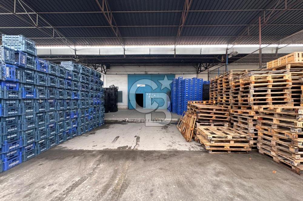 MERSİN TOROSLAR YENİ HAL KOMPLEKSİ’NDE SEVKİYAT BÖLÜMÜ TİCARİ DÜKKAN