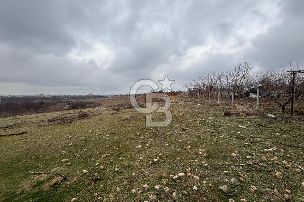 COLDWELL BANKER'den SAMANKÖY'de TİCARİ+KONUT İMARLI SATILIK ARSA