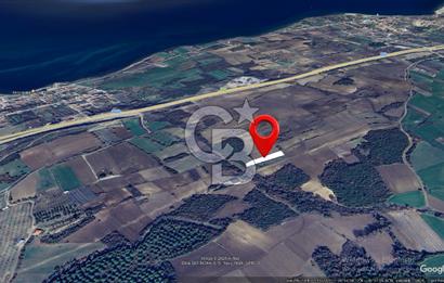 ÇANAKKALE SULUCADA SATILIK TARLA