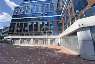 Pendik Yenişehir Starport Rezidans Satılık Ofis 1+1 - 1 - 334096