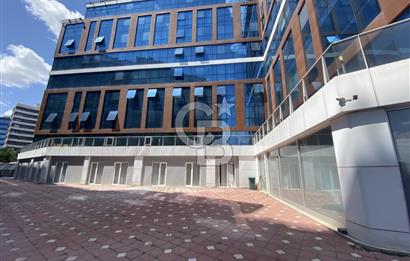 Pendik Yenişehir Starport Rezidans Satılık Ofis 1+1