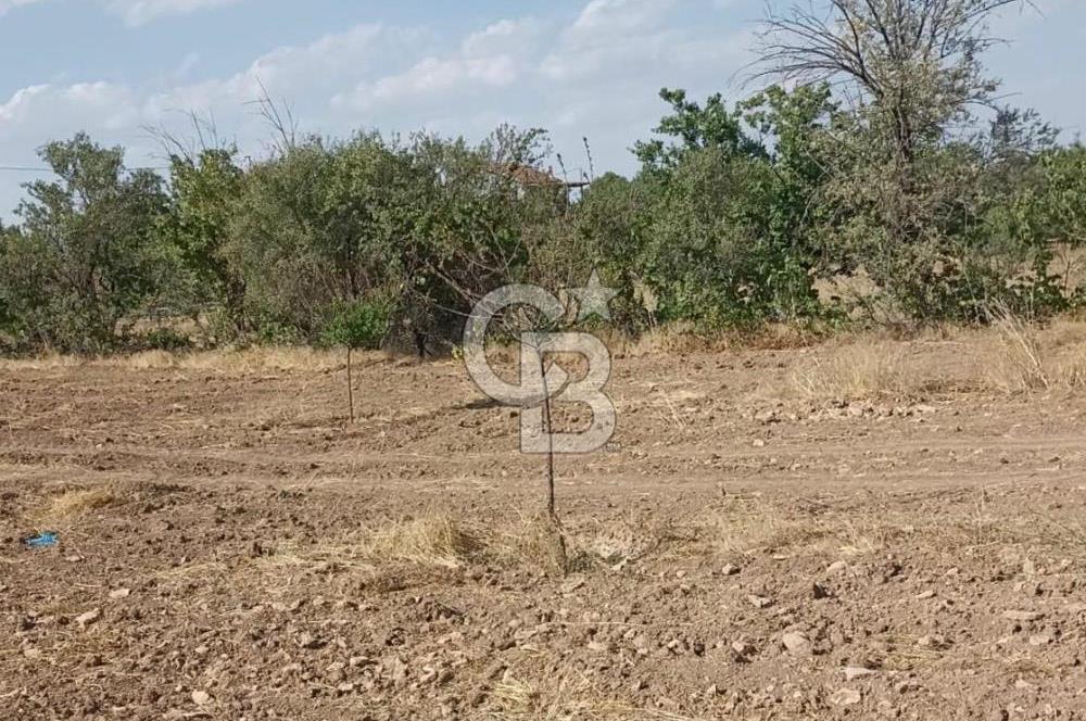 COLDWELL BANKER'den MALATYA-KAYSERİ YOLUNA KOMŞU SATILIK TARLA