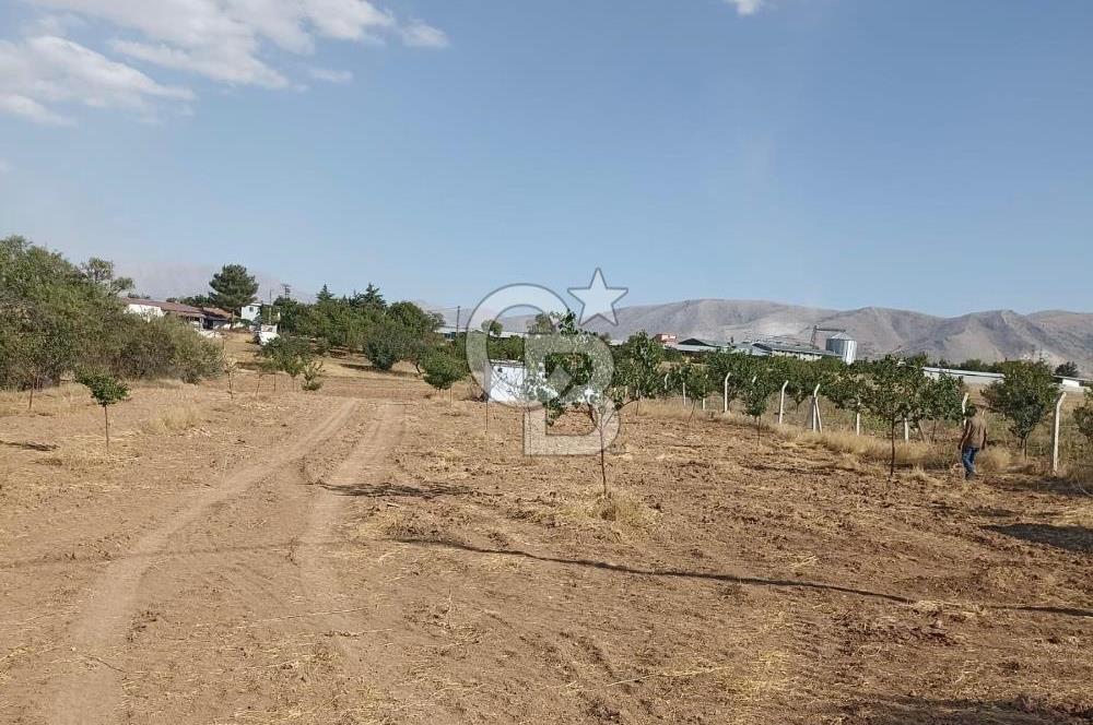 COLDWELL BANKER'den MALATYA-KAYSERİ YOLUNA KOMŞU SATILIK TARLA