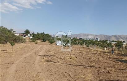 COLDWELL BANKER'den MALATYA-KAYSERİ YOLUNA KOMŞU SATILIK TARLA