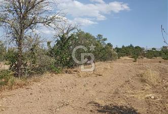 COLDWELL BANKER'den MALATYA-KAYSERİ YOLUNA KOMŞU SATILIK TARLA - 1 - 334102