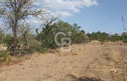 COLDWELL BANKER'den MALATYA-KAYSERİ YOLUNA KOMŞU SATILIK TARLA